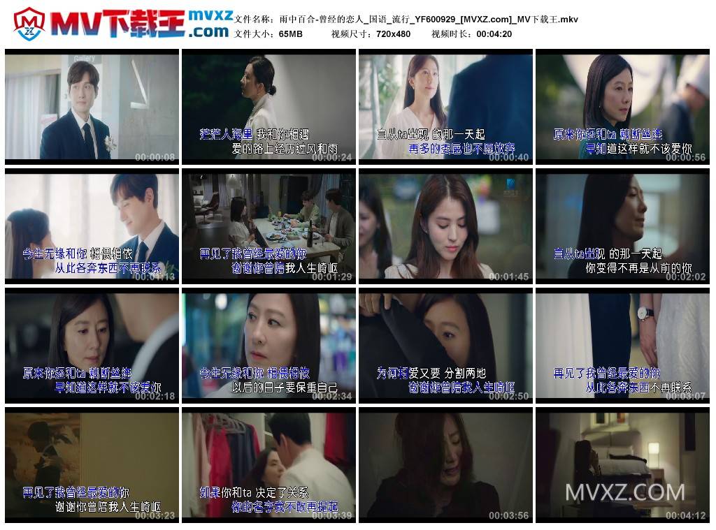雨中百合-曾经的恋人_国语_流行_YF600929